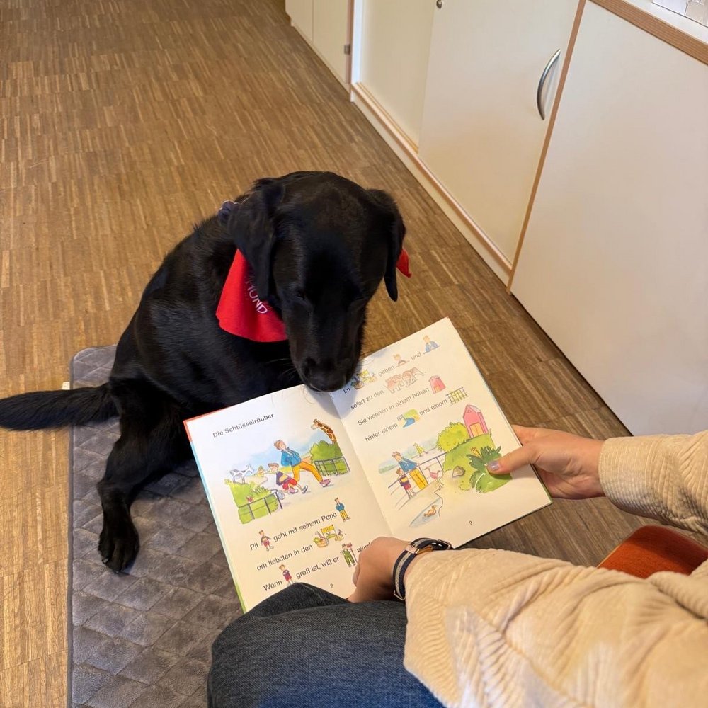 Der Bundesweite Vorlesetag erhält tierische Unterstützung, denn auch Lesehund Juni ist an Büchern interessiert!
